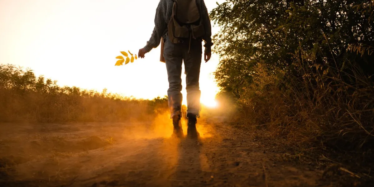 a woman wearing a hat, and with a backpack she holds yellow leaves in her hand at sunset autumn, copy space