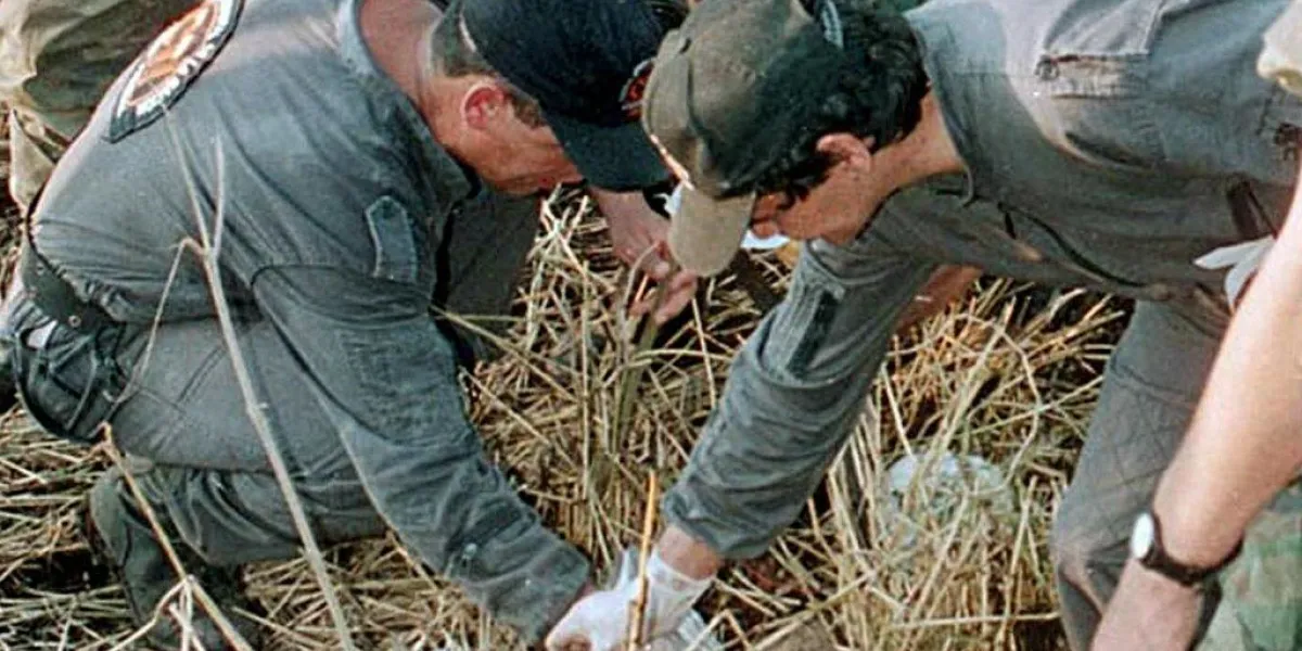 colombia files osamentas