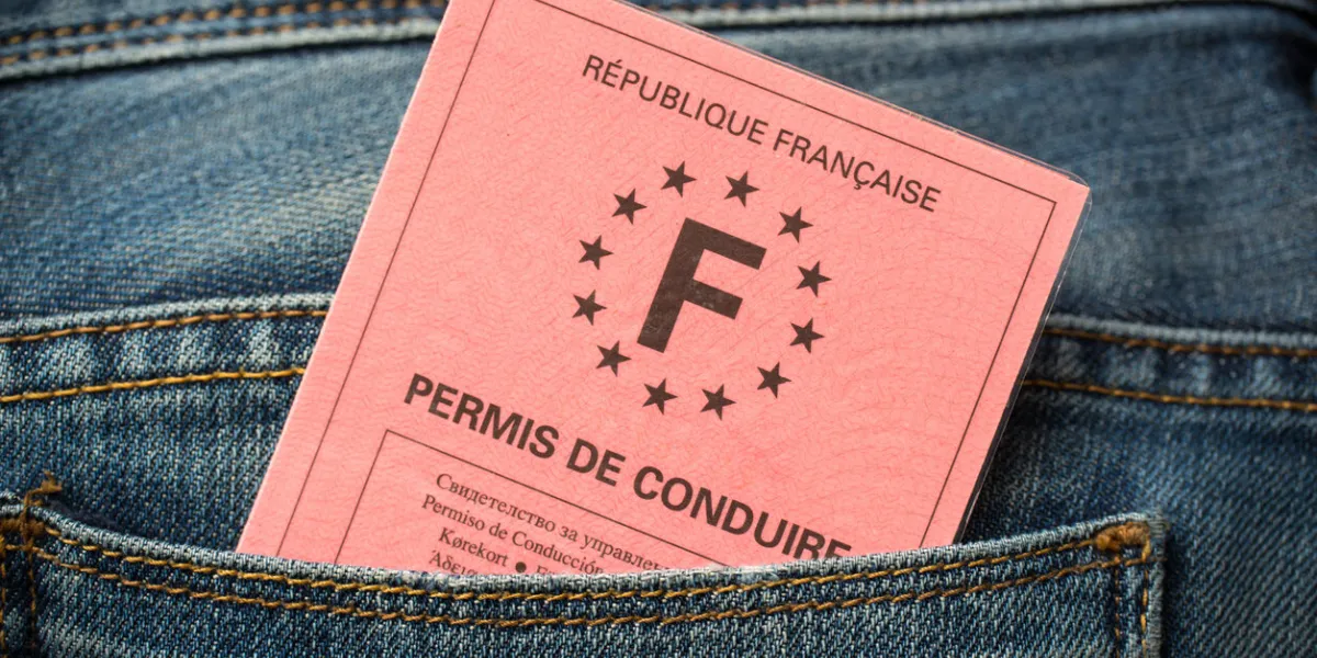 french driving license in the rear pocket of blue jeans, driving licence test concept
