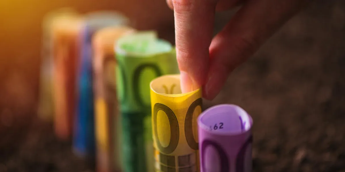 harvesting euro money, conceptual agricultural image with hand picking eu paper currency from fertile soil ground