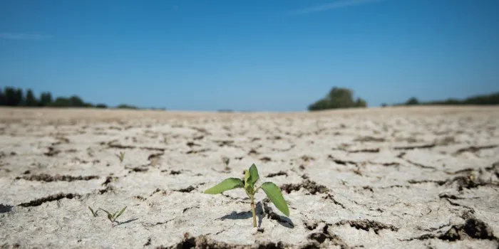 france drought weather heatwave