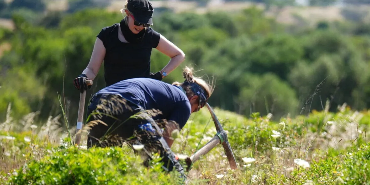 missing madeleine mccann