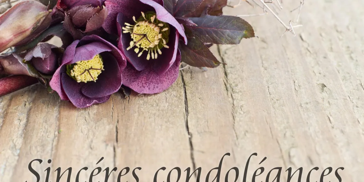 condolence card with dark christroses