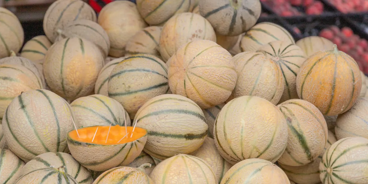 close-up of yellow cantaloupes on a market, focus on foreground