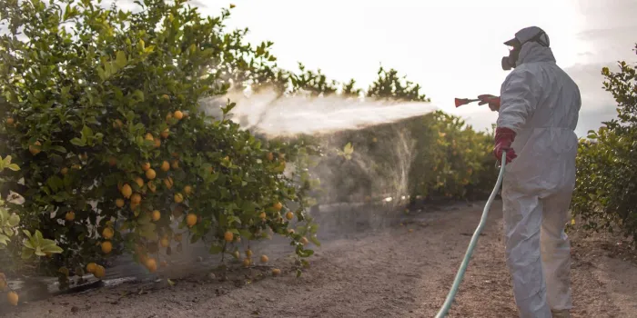 spray ecological pesticide farmer fumigate in protective suit and mask lemon trees man spraying toxic pesticides, pesticide, insecticides