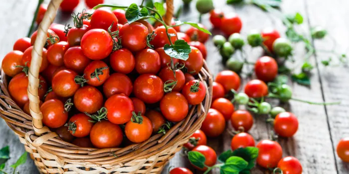 basket of tomatoes called cherry tomato on wooden background, fresh produce on local market