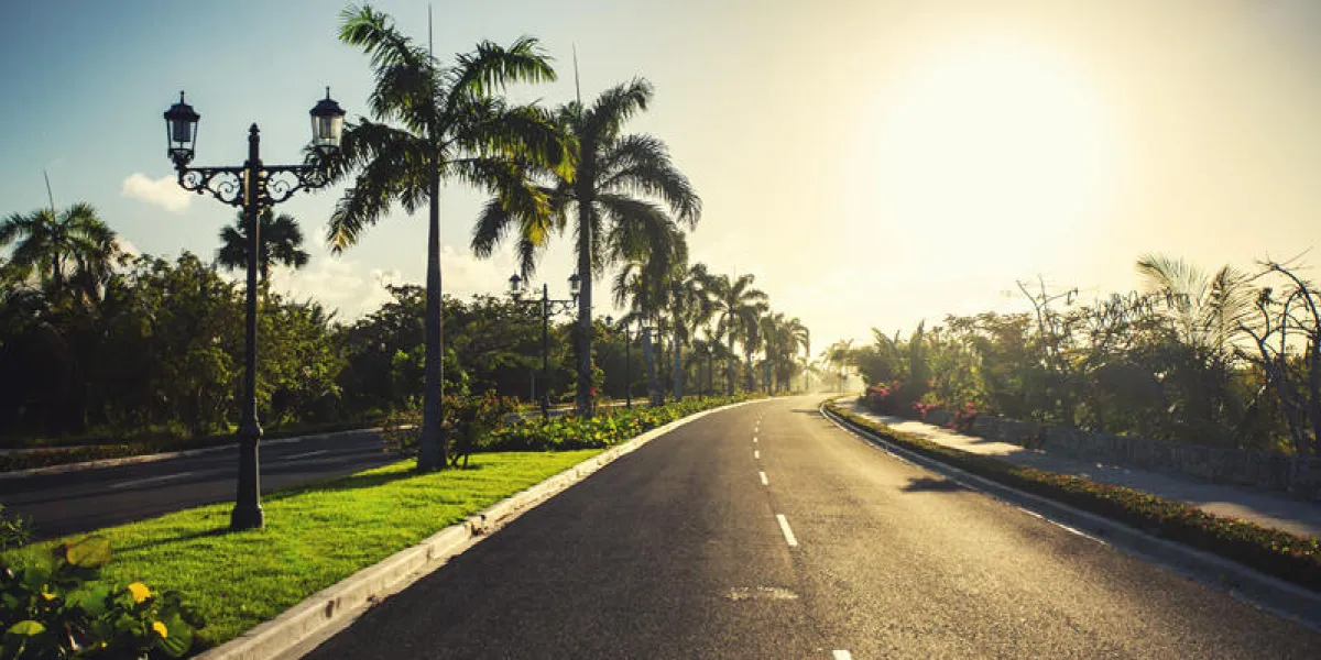 beau jardin tropical et sentier vers le resort de luxe à punta cana, république dominicaine