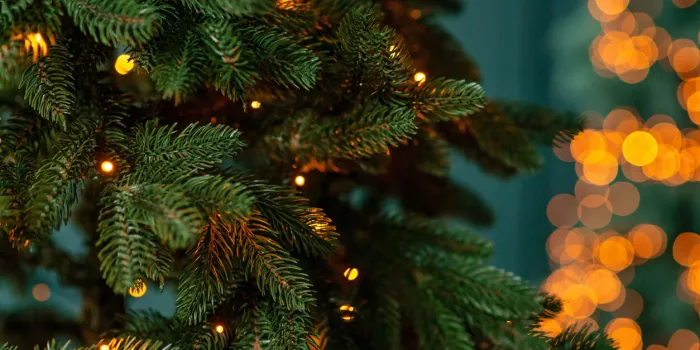 christmas background, christmas tree and magical blurred bokeh lights in the background soft selective focuscopy space