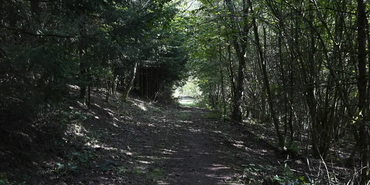 voyage de lina de son domicile vers la gare de saint-blaise-la-roche