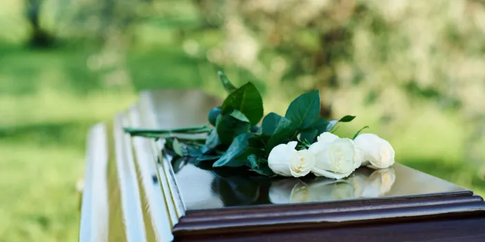 focus on bunch of several fresh white roses lying on top of closed lid of wooden coffin standing in front of camera at modern graveyard