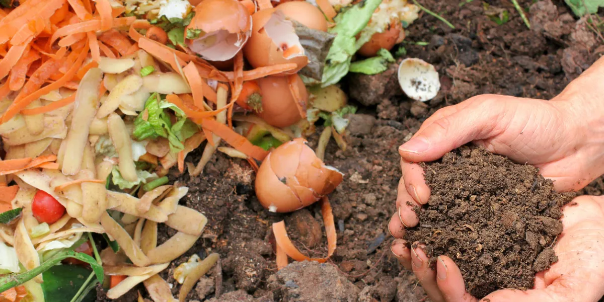 hands are holding composted earth