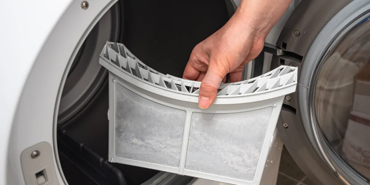 dust and dirt trapped by the clothes dryer filter