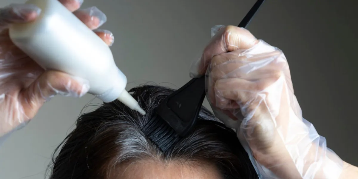 closeup woman hands dyeing hair using black brush middle age woman colouring dark hair with gray roots at home