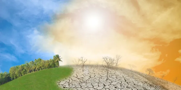 dead tree in the arid land compare with the growing tree in the green landclimate change,global warming,dry soil,cracked rift land