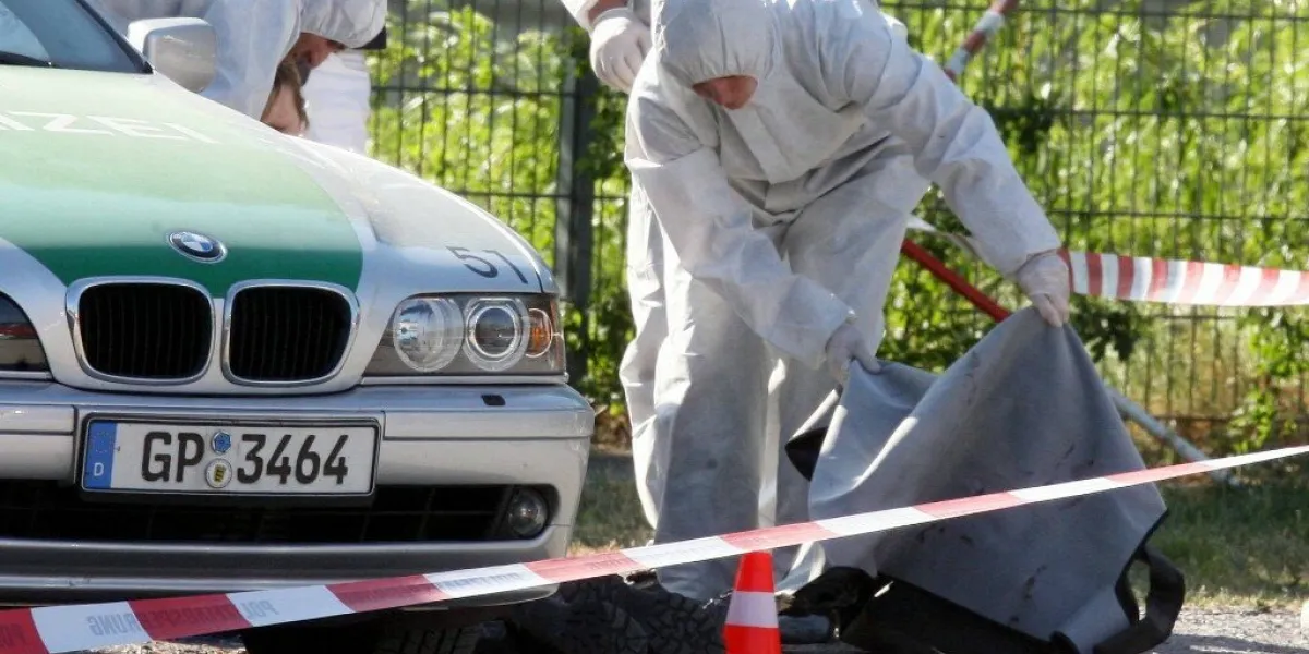 germany politics crime farright