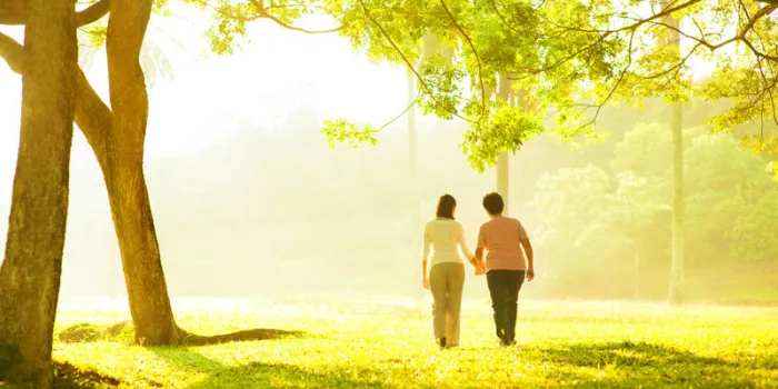 mère aînée asiatique et fille adulte, main dans la main, marche au parc en plein air