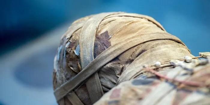 egyptian mummy close up detail