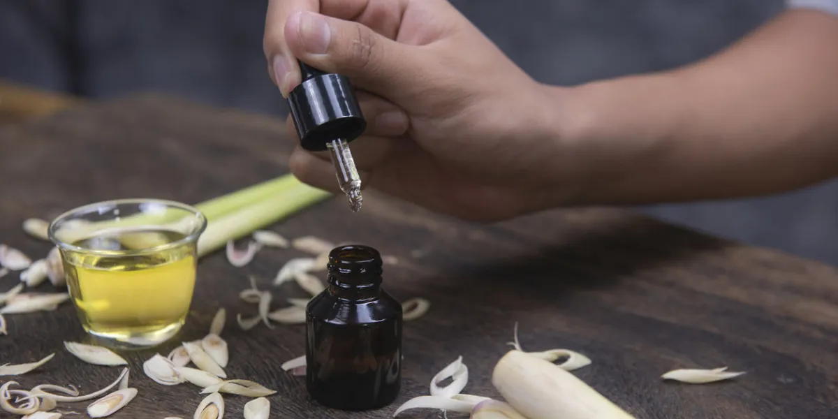 lemongrass oil is a plant that is used as a food and medicine by extracting in the form of water and the smell of the leaves can also be mosquitoes