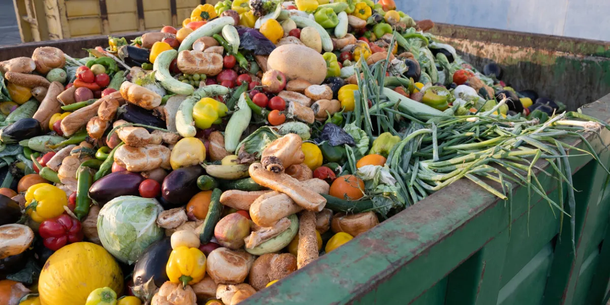 expired organic bio waste mix vegetables and fruits in a huge container, in a rubbish bin heap of compost from vegetables or food for animals