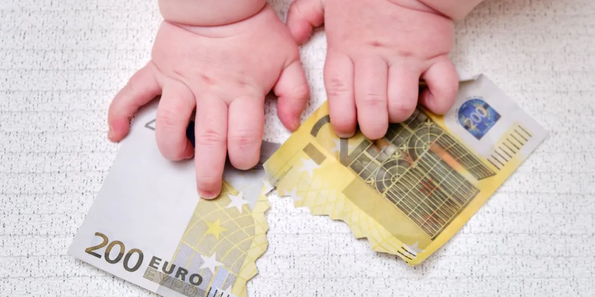 baby hand and torn money in euros, close-up children fingers and an object on a white background