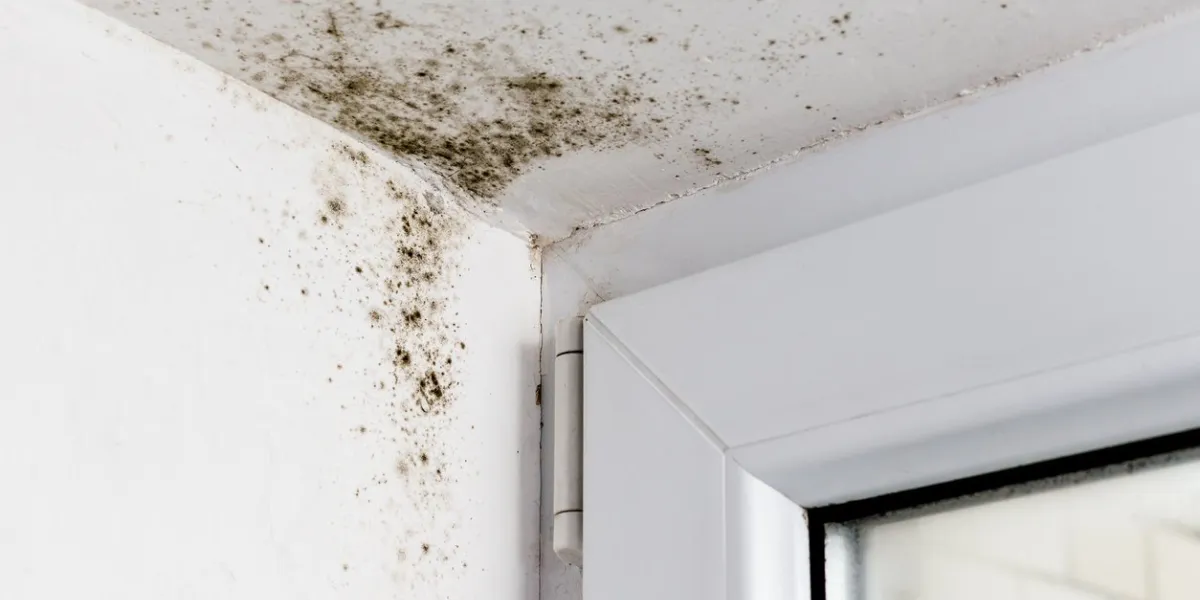 mold in the corner of the plastic windows