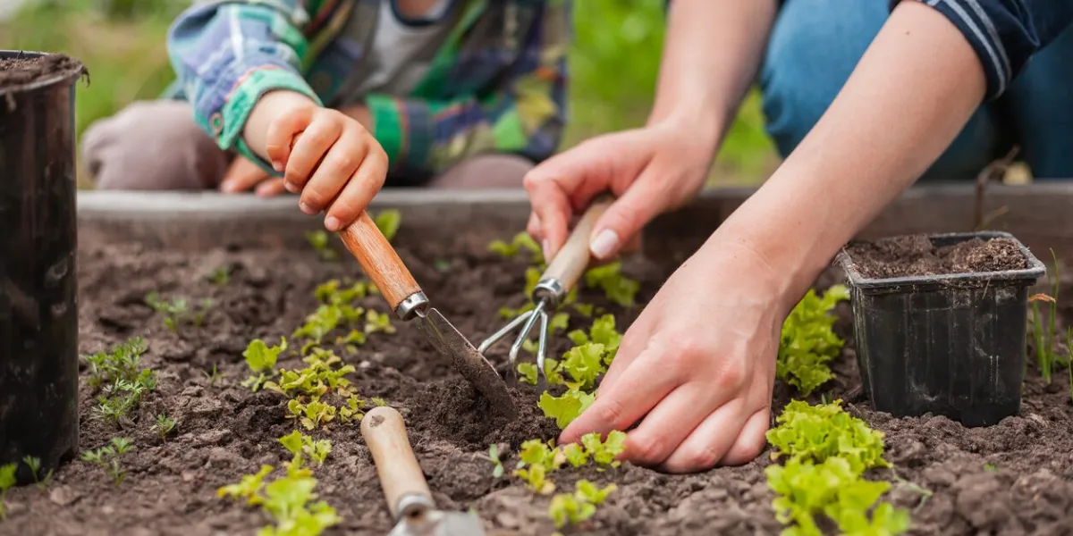 child and mother gardening in vegetable garden in the backyard