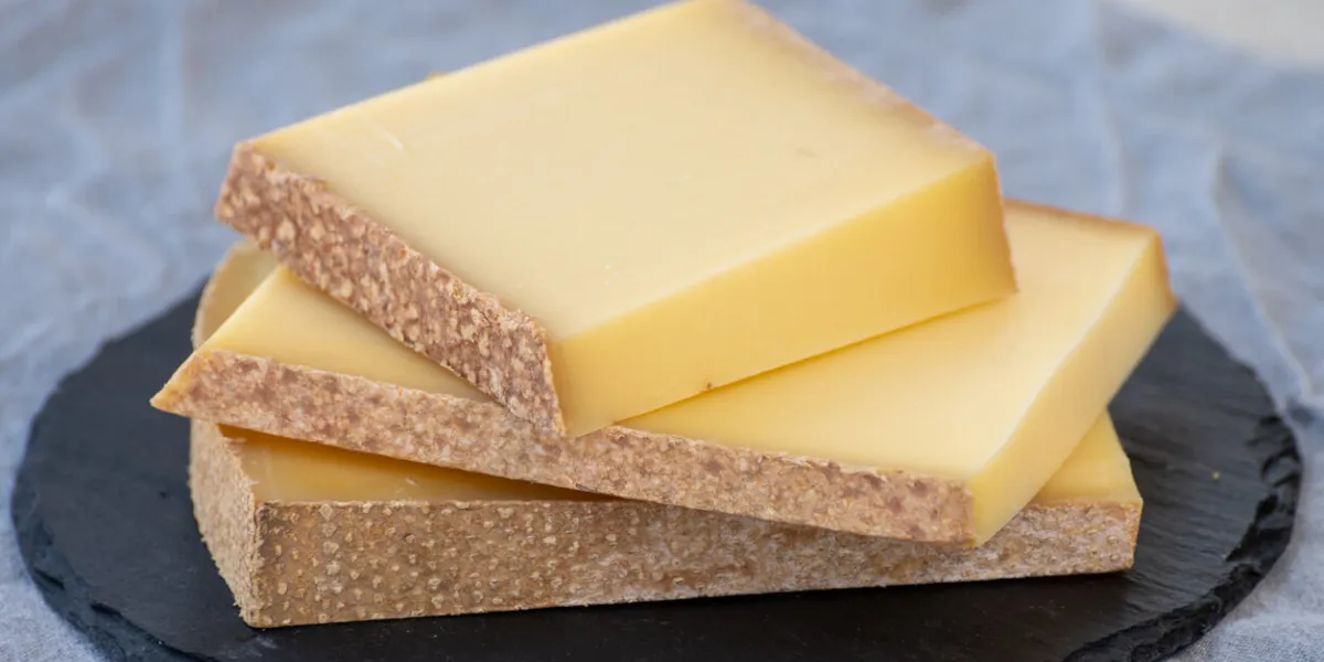 cheese collection, hard french cheese comte made from cow milk with rind in franche-comte region, france close up