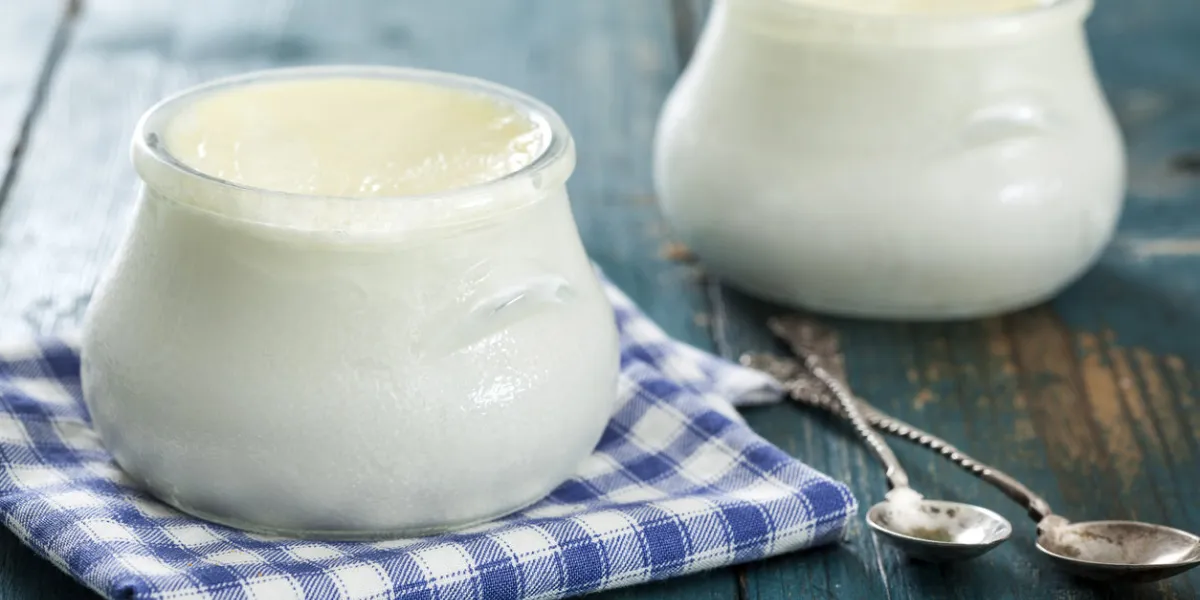 homemade yogurt