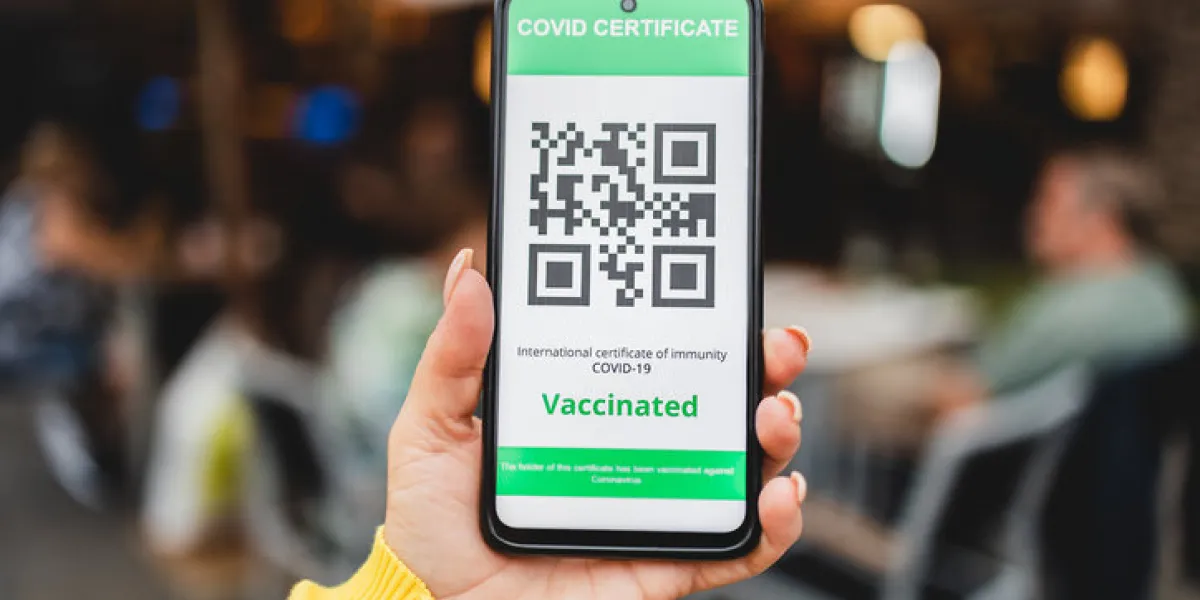 hand holding digital green pass certificate for coronavirus vaccine with bar restaurant on background