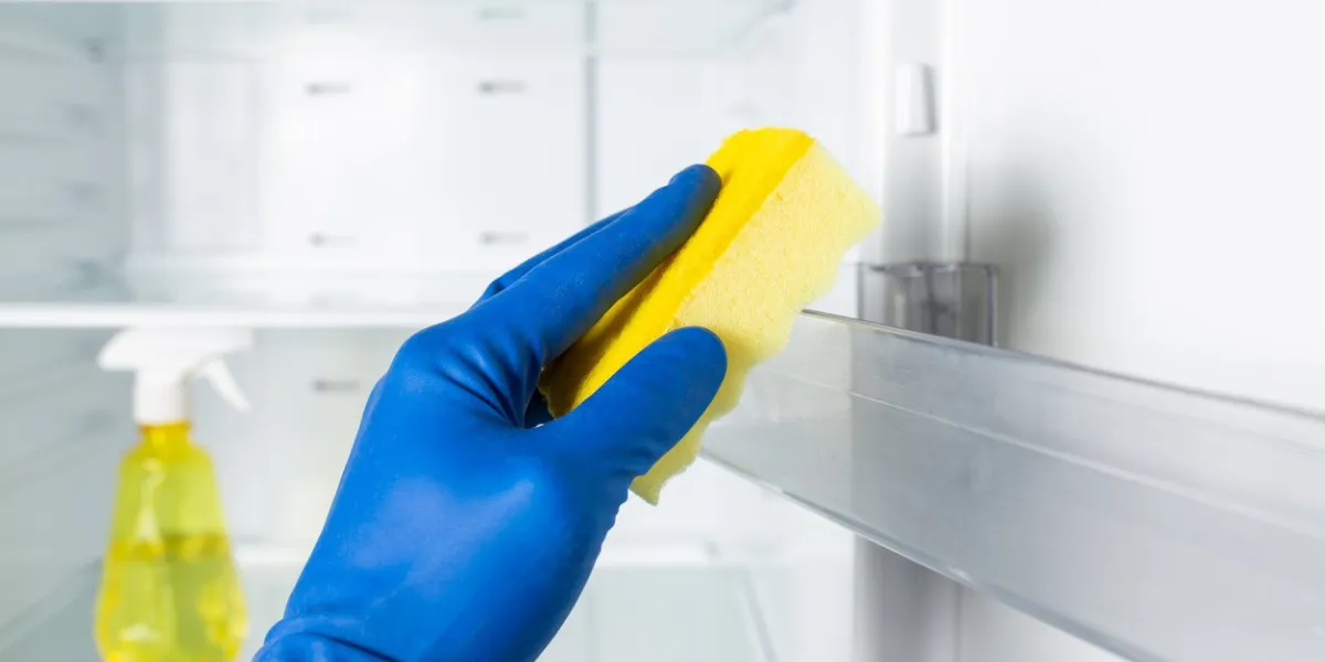 hands in blue color gloves cleaning refrigerator inside with spray detergent and pece of cloth