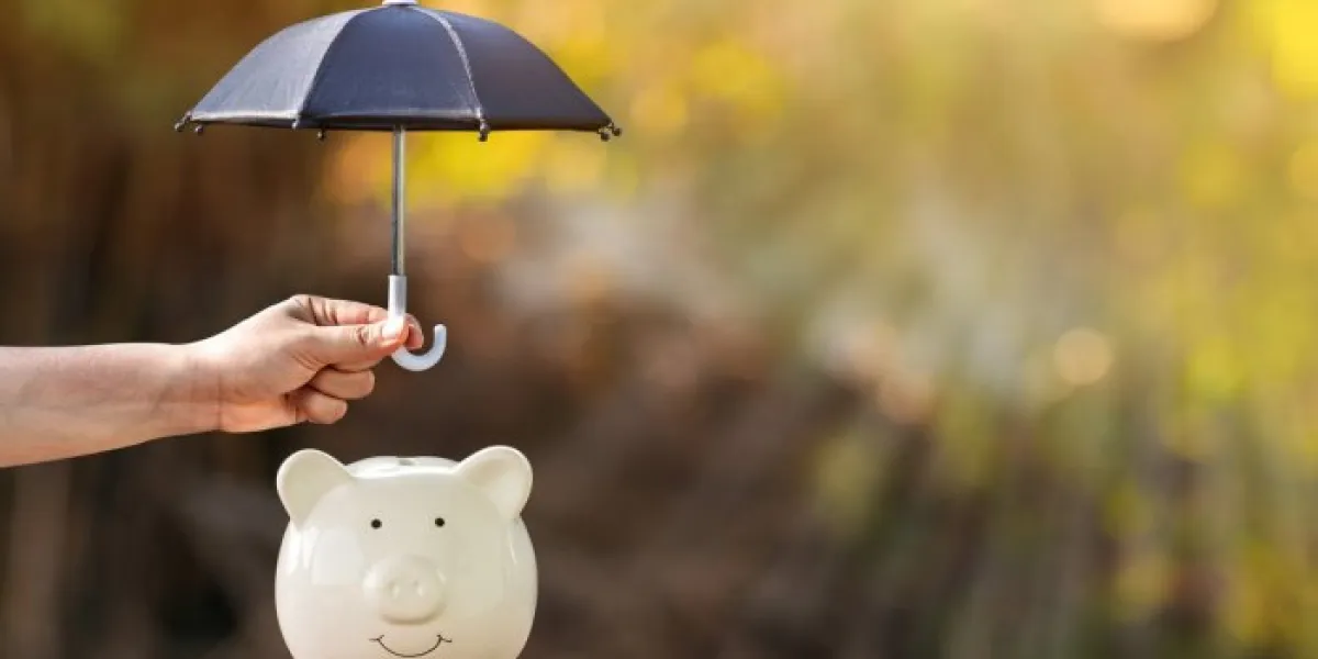 piggy bank and woman hand hold the black umbrella for protect on sunlight in the public park, to prevent for asset and saving money for buy health insurance concept