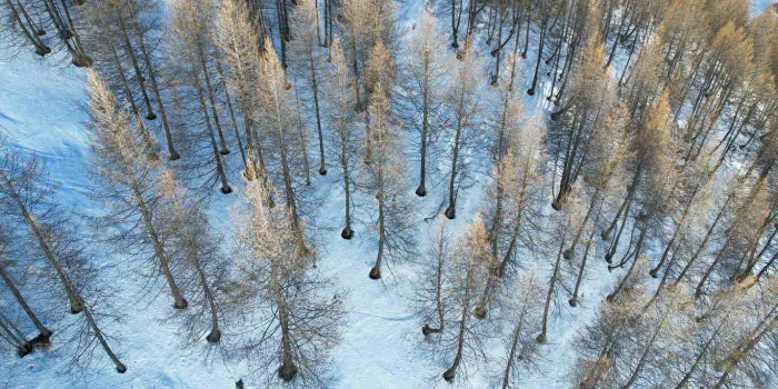 vue aérienne la foux d'allos, station de ski située au nord du département des alpes de haute provence dans les massifs du pelat et des trois eveches france le 28 décembre 2022 photo par lionel urman abacapresscom