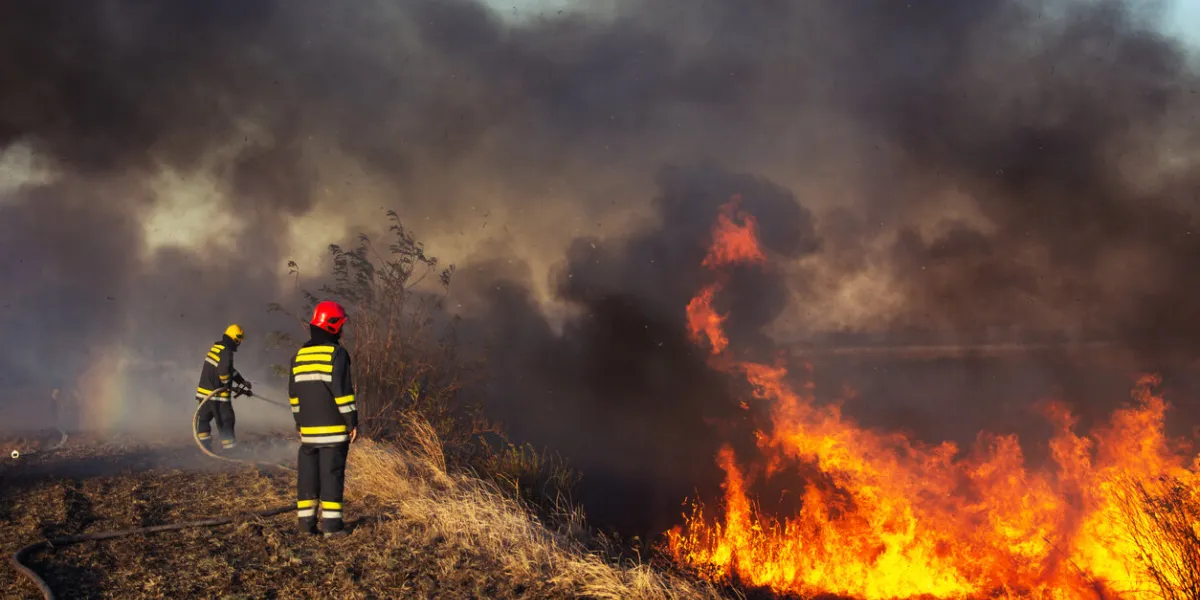 firefighters spray water to wildfire