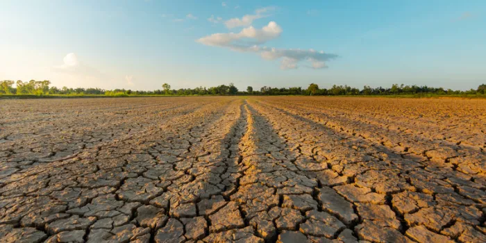 the land is dry and parched because of global warming