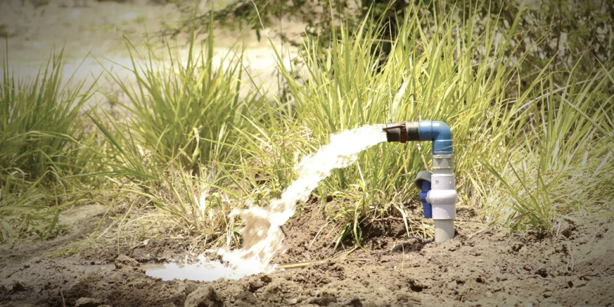 water is being pumped out in an agricultural land using pump and motor farming needs a lot of water which irrigation serves it