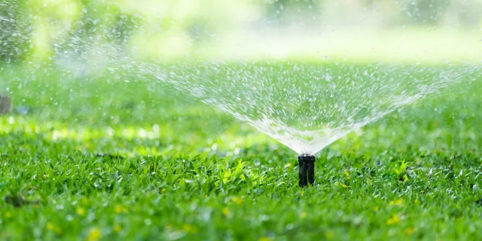 automatic garden lawn sprinkler in action watering grass