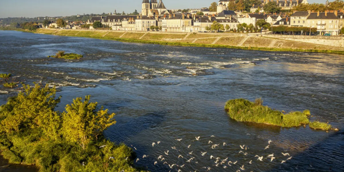 abbey saint-laumer in blois, france castles of the loire valley