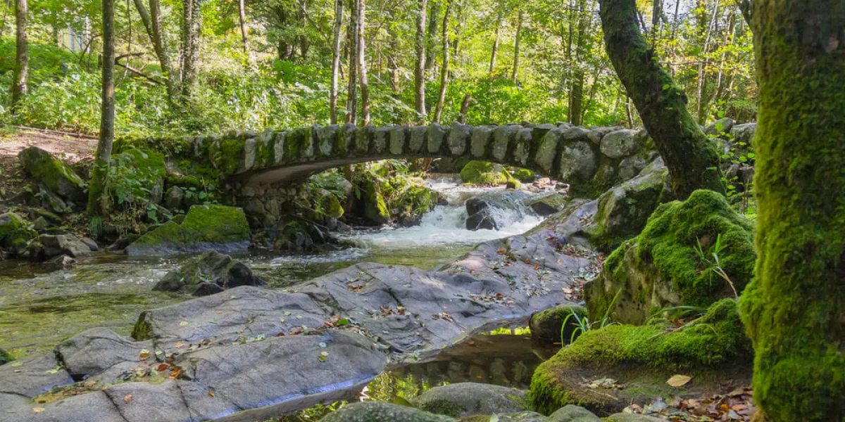 forest scenery around a small historic stone bridge at the vologne river near gerardmer in the vosges mountains