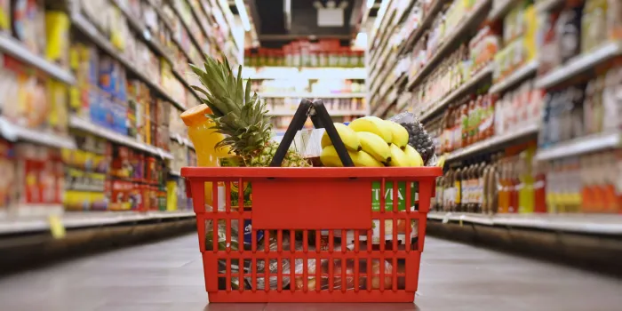 grocery basket with products