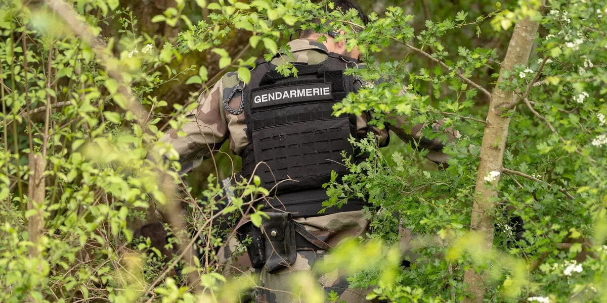 gendarmes are looking for the runner in the forest - vivonne aj