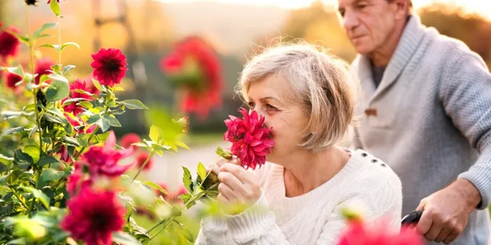 senior couple on a walk senior man pushing a woman in a wheelchair on the village road a disabled woman smelling flowers