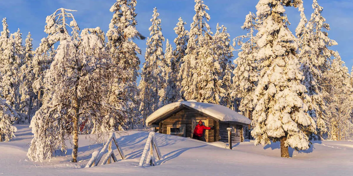 touriste au soleil matinal devant un chalet isolé dans la forêt enneigée, norrbotten, laponie suédoise, suède, scandinavie, europe