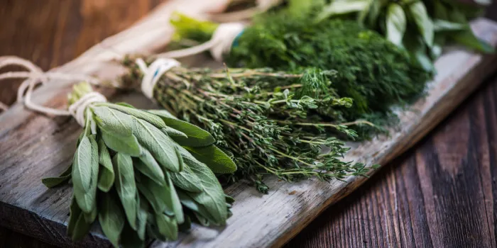 basil,sage,dill,and thyme herbs on wooden board preparing for winter drying