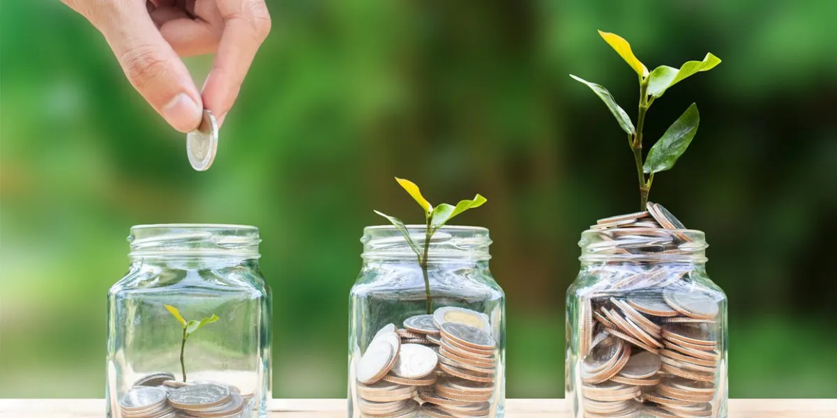 money savings, investment, making money for future, financial wealth management concept a man hand holding coin over stacked coins in glass jar and growing tree plant depicts fund growth and wealth