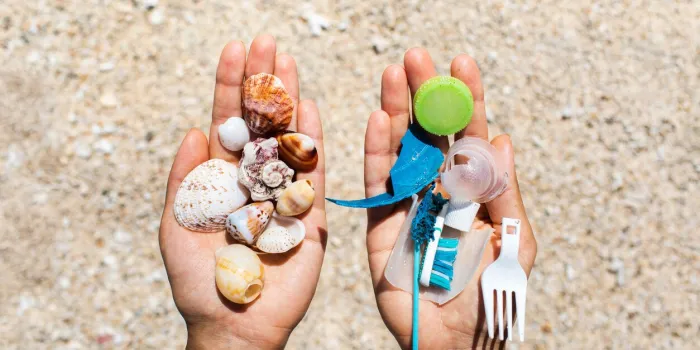 concept of choice  save nature or continue to use disposable plastic one hand holding beautiful shells, in the other - plastic waste beach sand on background environmental pollution problem