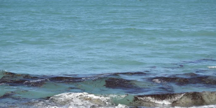 brown seaweed patches obscure the coastline