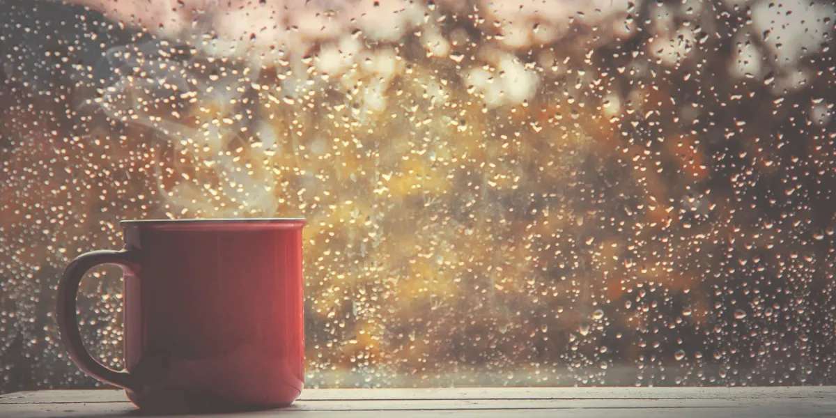 a cup of tea hello, autumn selective focus comfort