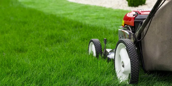 photograph of lawn mower on the green grass mower is located on the right side of the photograph with view on grass field