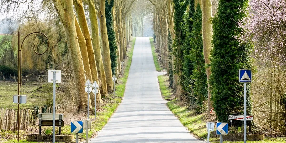 the small sloping country road leaving the village of rozay-en-brie to the south, bordered by two rows of majestic plane trees, is a true invitation to take a road trip around the french countryside