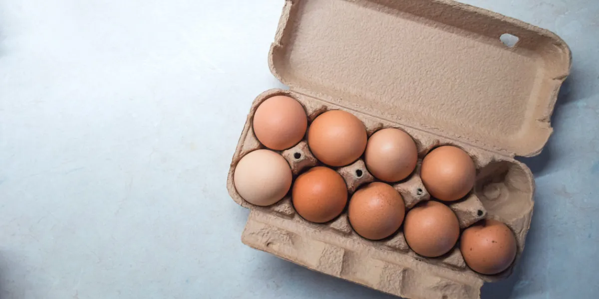 eggs on a kitchen counter, with one egg missing from the 10 egg egg carton